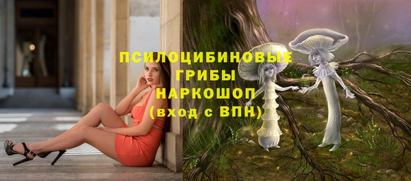 a pvp Богородицк