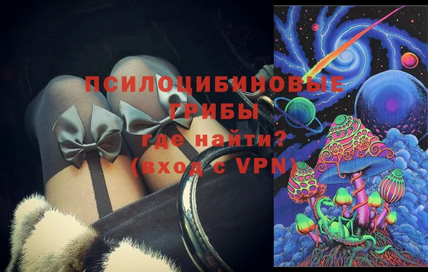 дурь Богородск