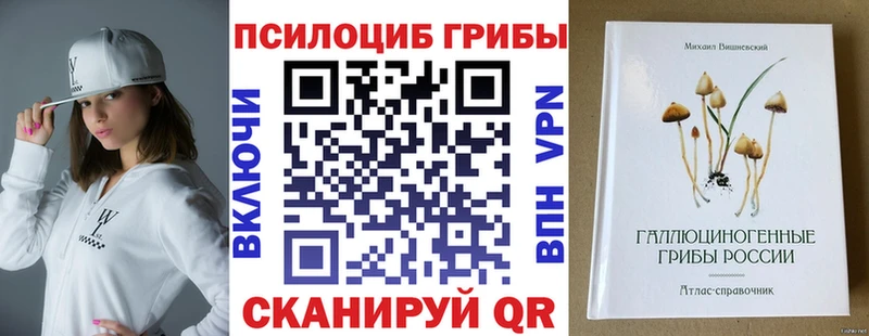 Псилоцибиновые грибы Psilocybe  Киржач 